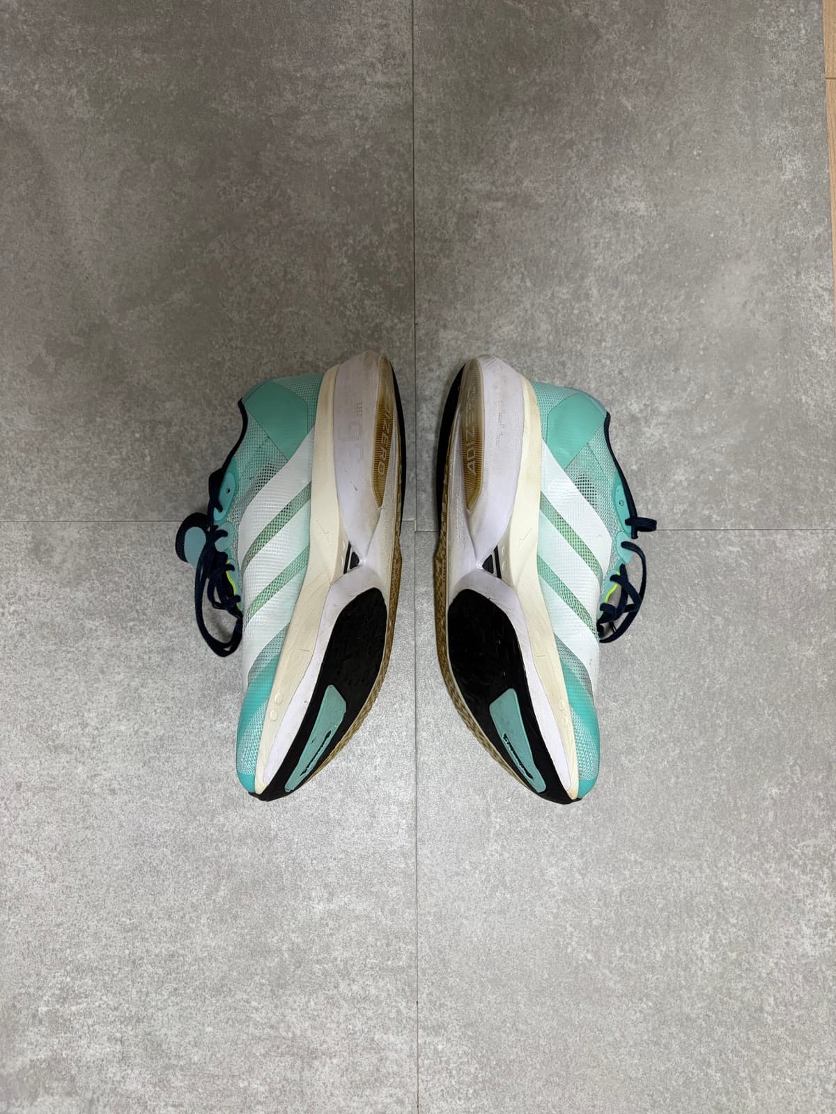 adidas Adizero Boston 13 実物写真 4